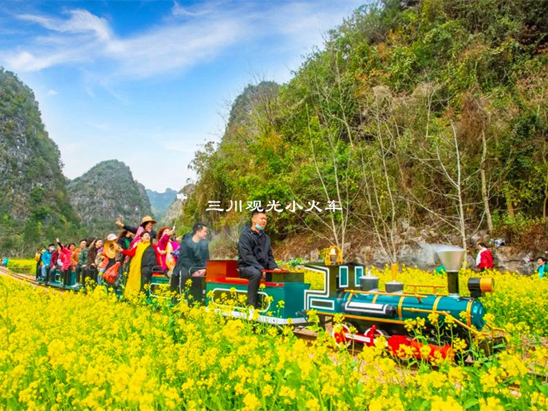 轨道小火车,景区轨道火车定制,轨道观光小火车厂家