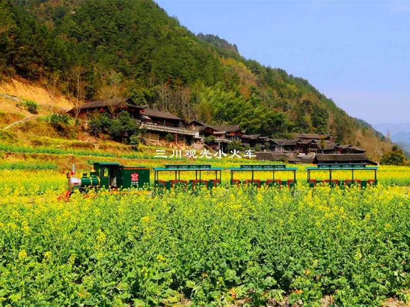 花海小火车,花海有轨小火车定制,花海观光小火车厂家