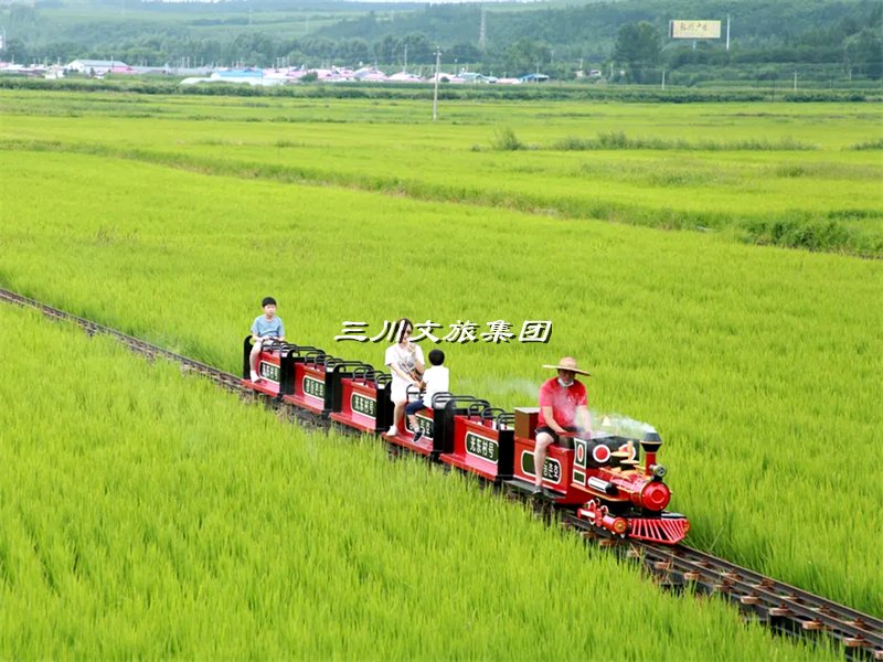 轨道观光小火车，轨道观光小火车厂家，轨道观光小火车价格