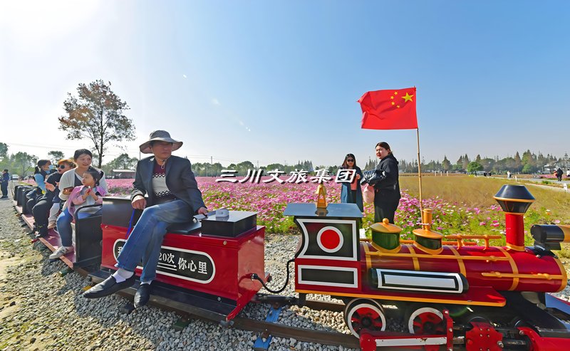 观光火车,观光旅游小火车,景区旅游观光小火车厂家