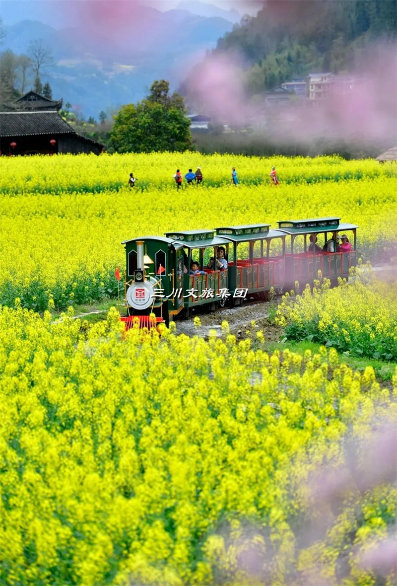 网红商业街小火车厂家,乡村旅游观光小火车价格