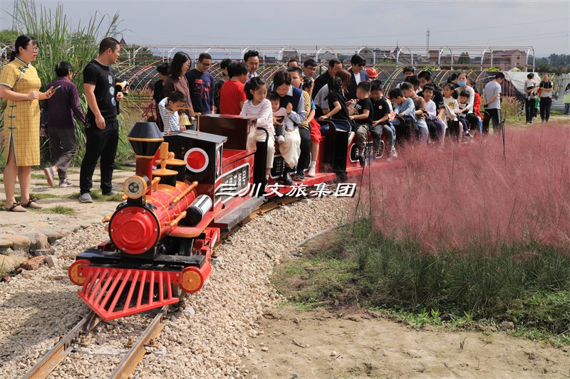 让旅游观光小火车点亮景区的新活力